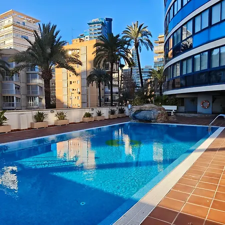 Amaryllis Seayou Benidorm