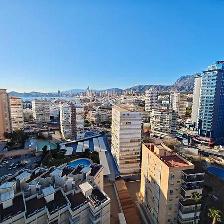 Amaryllis Seayou Benidorm