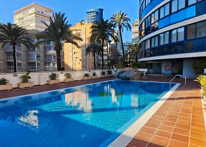 Amaryllis Seayou Benidorm