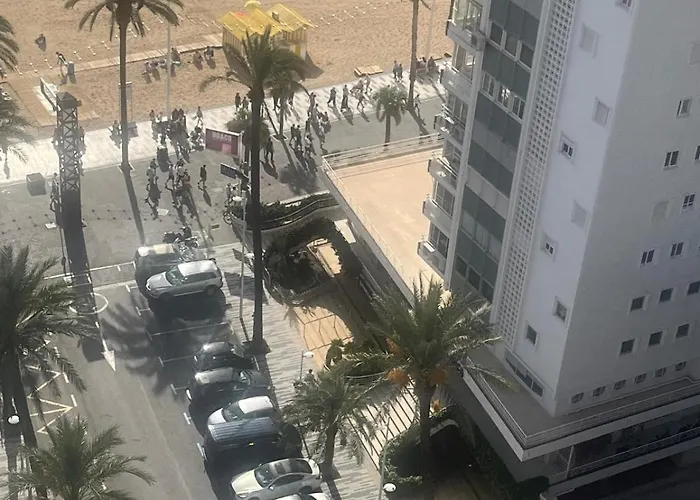 Amaryllis Seayou * Benidorm