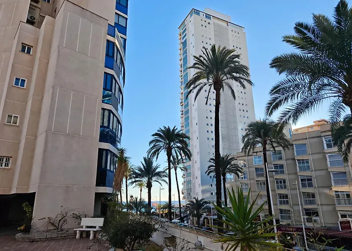 Amaryllis Seayou * Benidorm